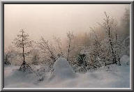 Winterstimmung